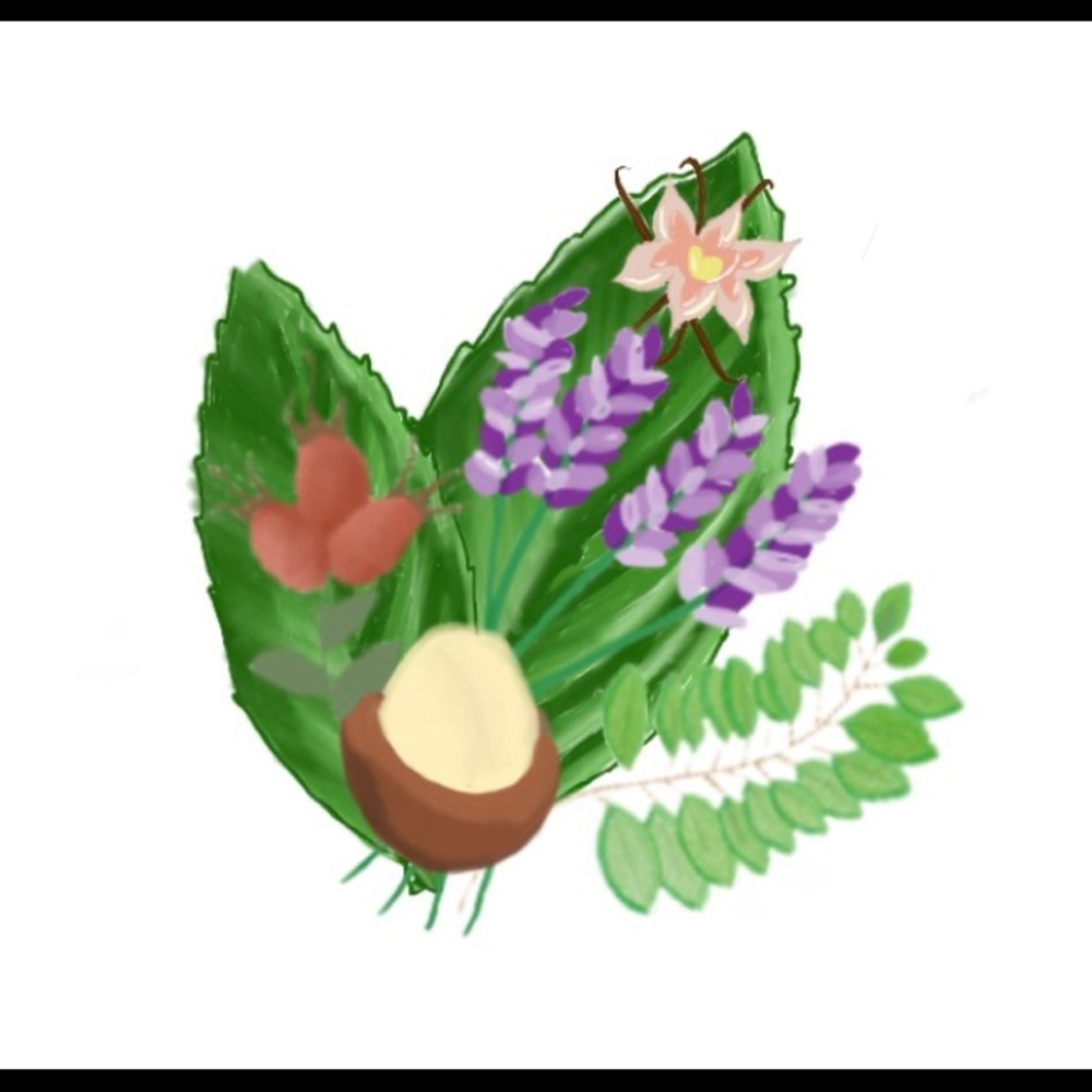 Balma Momma All Natural Shea Butter Lip Balm